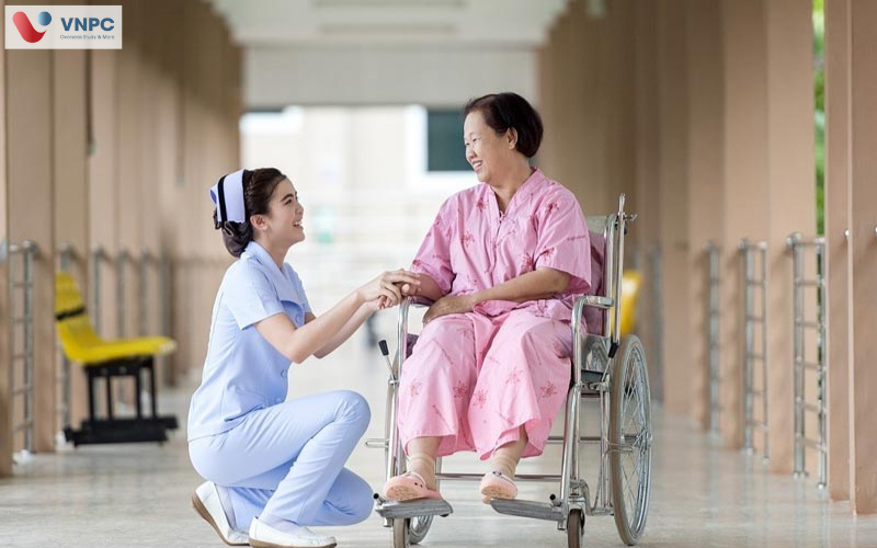 Đăng nhập King88 vina nhận +888K hàn quốc ngành điều dưỡng